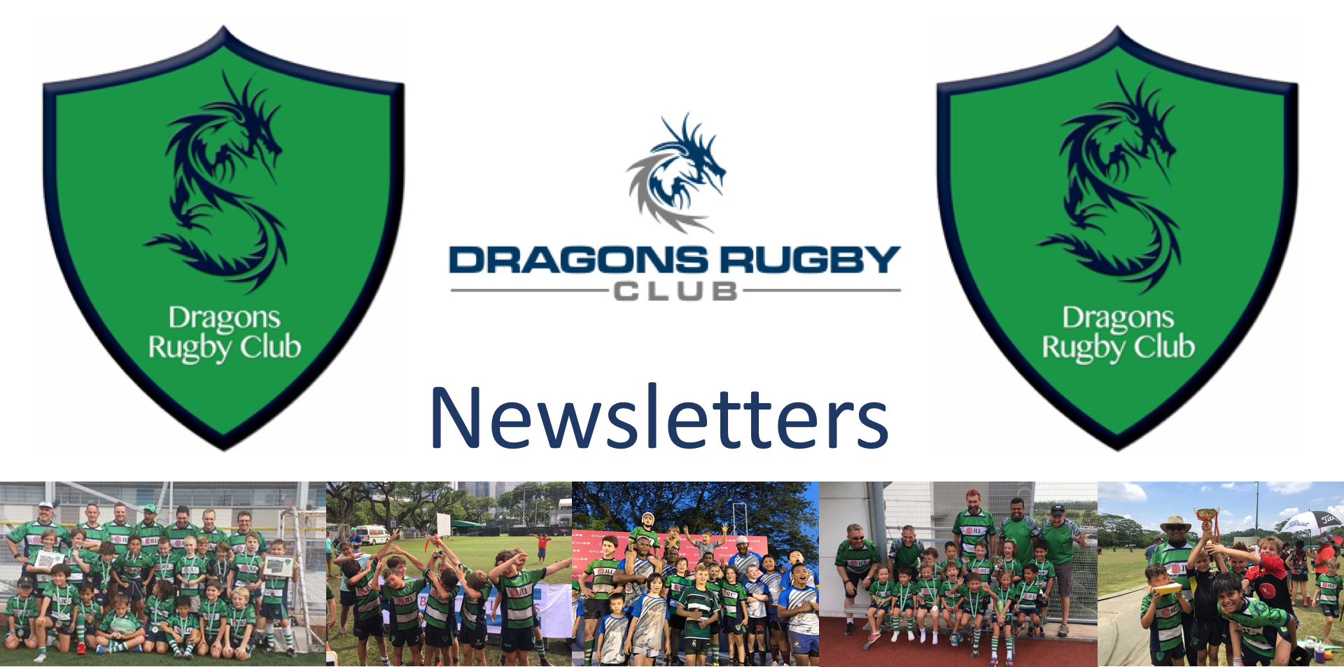 Dragons Newsletter Newsletter banner